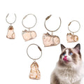 New Transparent Cat Hair Storage Box Decoration Dog Cat Hair Storage Capsule Bag Keychain Bag Pendant Pet Commemoration