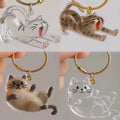 New Transparent Cat Hair Storage Box Decoration Dog Cat Hair Storage Capsule Bag Keychain Bag Pendant Pet Commemoration