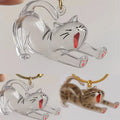 New Transparent Cat Hair Storage Box Decoration Dog Cat Hair Storage Capsule Bag Keychain Bag Pendant Pet Commemoration